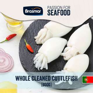 Brasmar Cuttlefish Cleaned 13/20