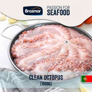 Brasmar Jumbo Squid Tentacles