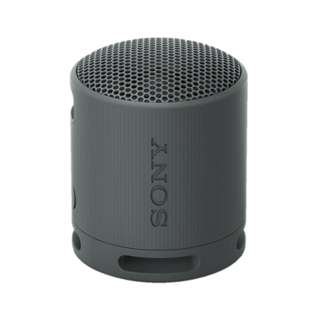 Sony XB100 Portable Wireless Speaker - Black