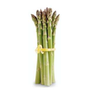 Vegeponics Australia Asparagus