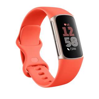 Fitbit Charge 6 Smartwatch - Coral/Champagne Gold Aluminium