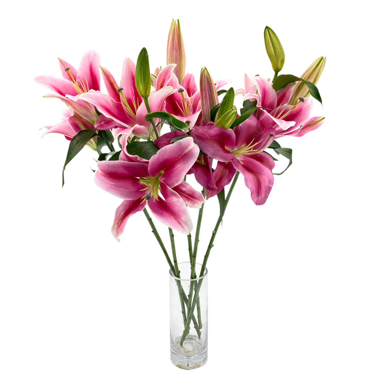 JM Flower Lily Robina