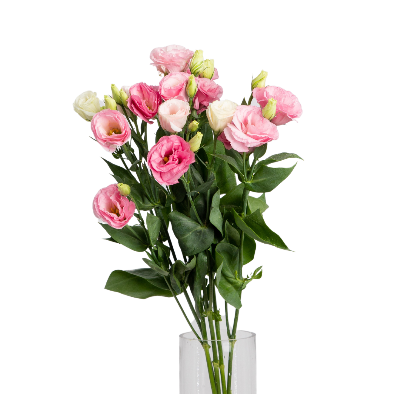 JM Flower Eustoma Pink NTUC FairPrice
