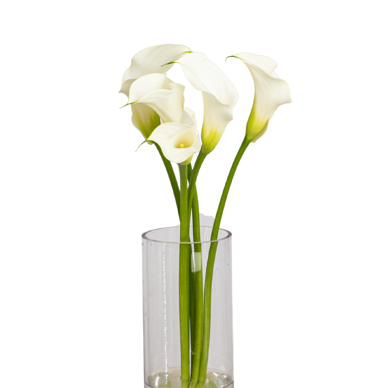 JM Flower Calla Lily - White