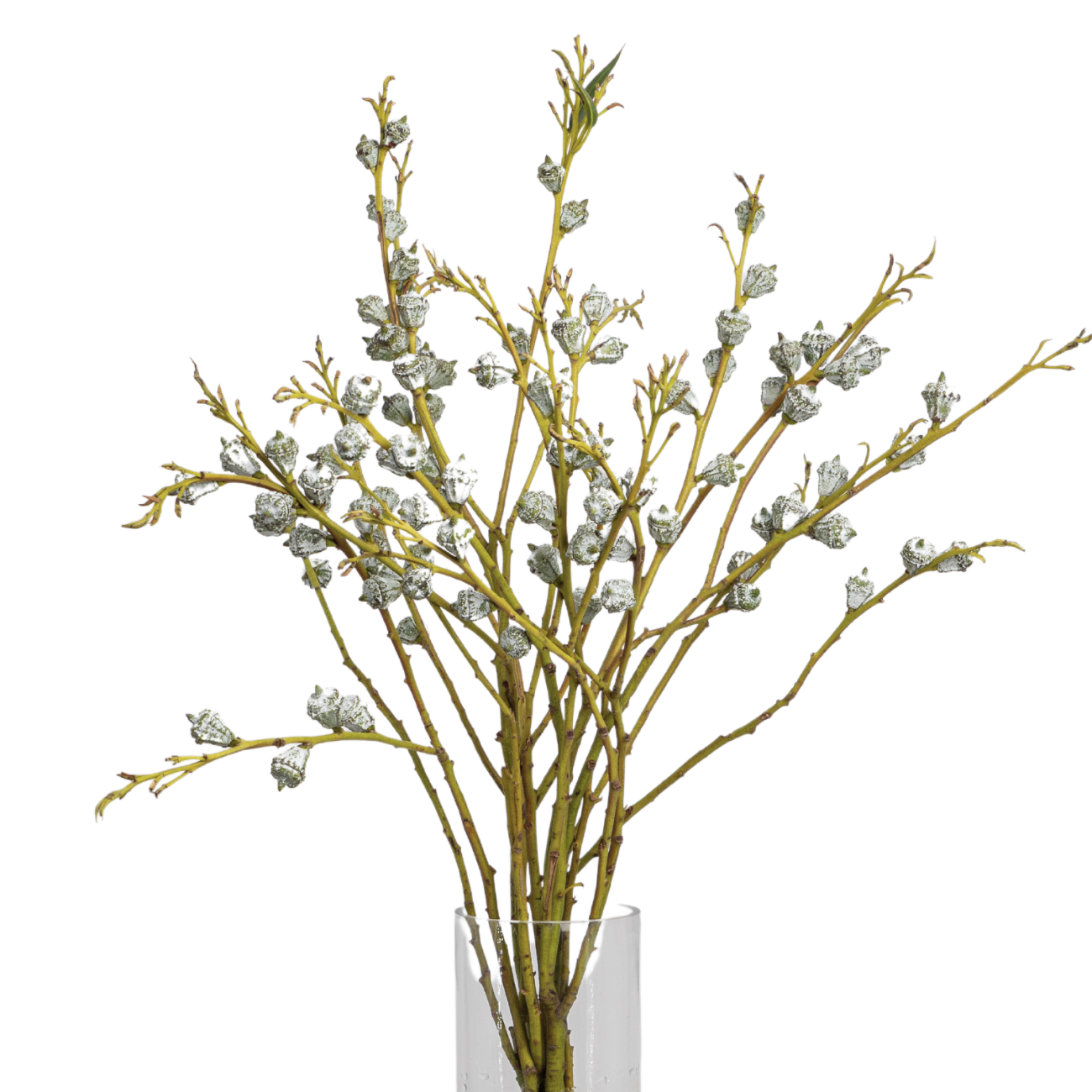 JM Flower Eucalyptus Nut JM Flower Eucalyptus Nut