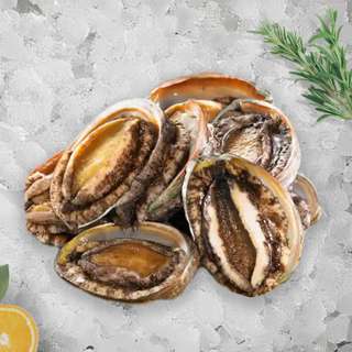 Seaco Live South Africa Abalone