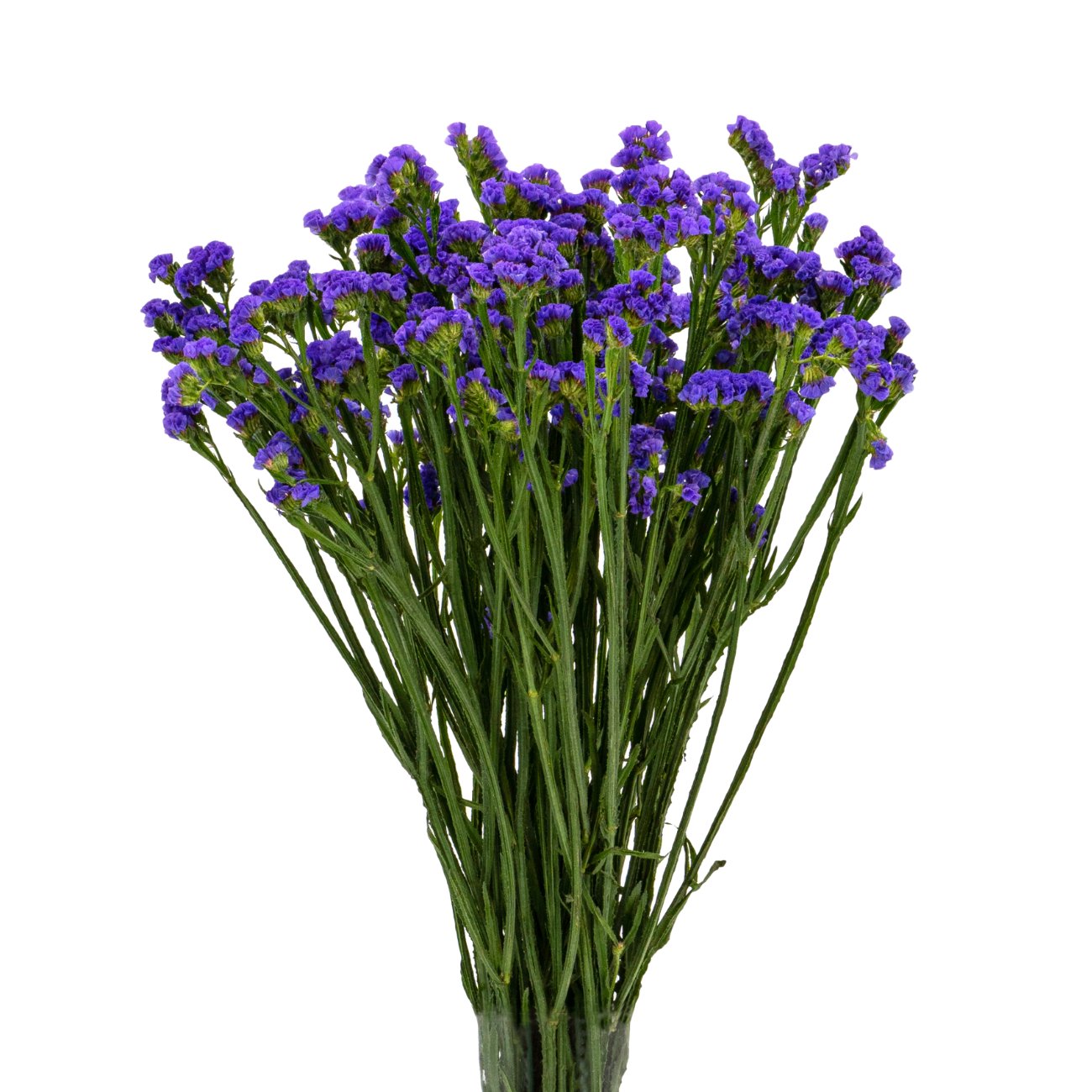 Joice - Purple Floral