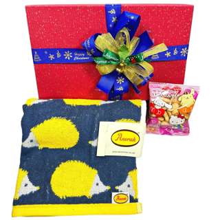 Ssh Giftset-Anorak Hedgehogs Mini Face Towel & Biscuits