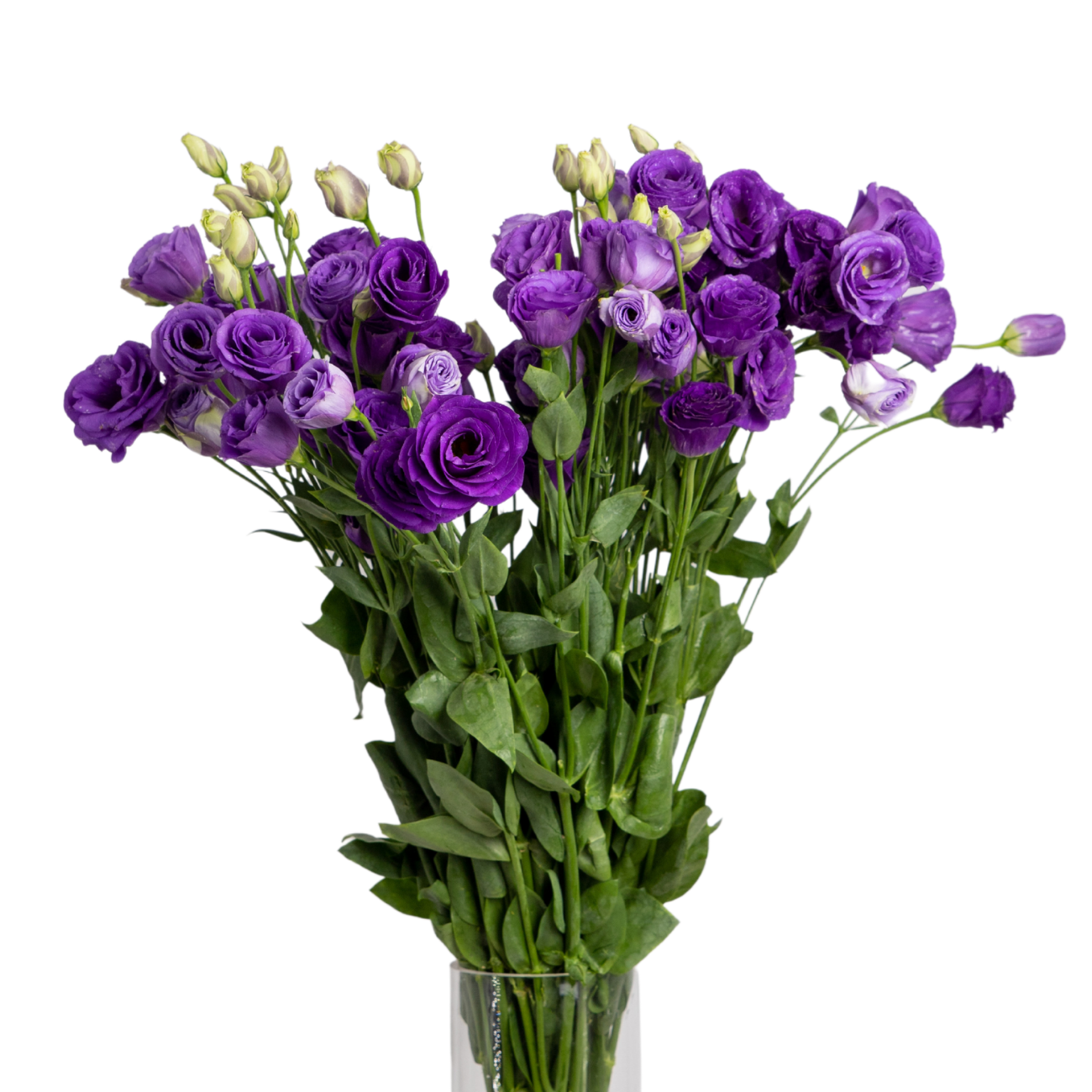 JM Flower Eustoma Purple NTUC FairPrice