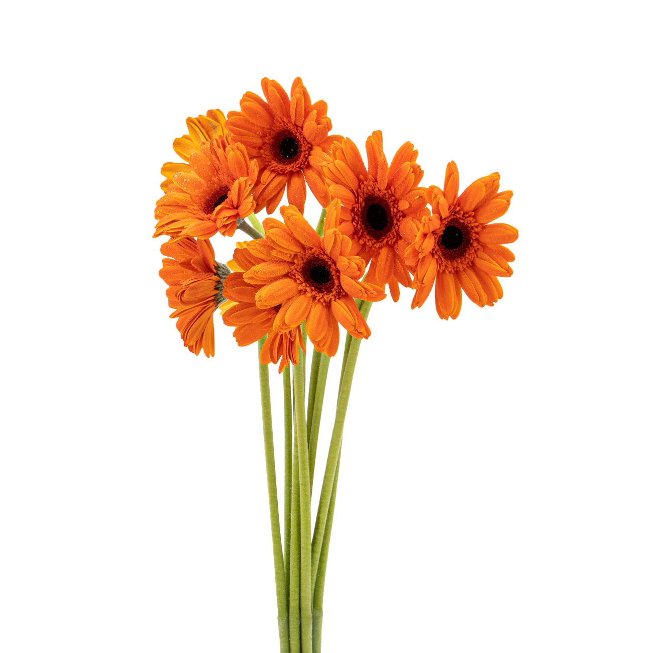 JM Flower Gerbera Daisy - Orange