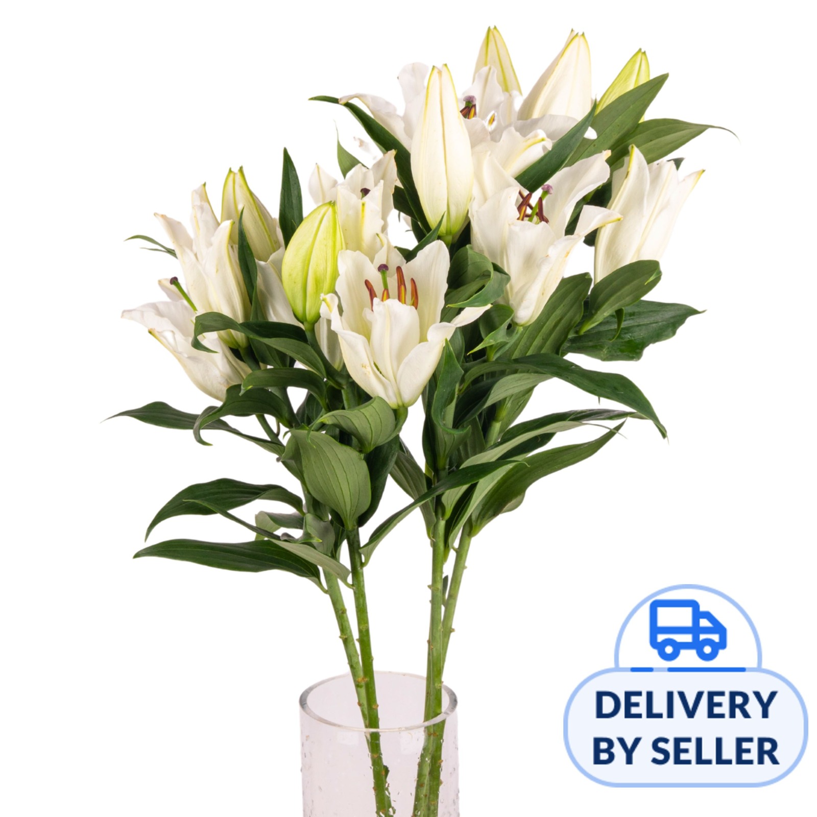 JM Flower Lily Oriental (Basic Grade) - White | NTUC FairPrice