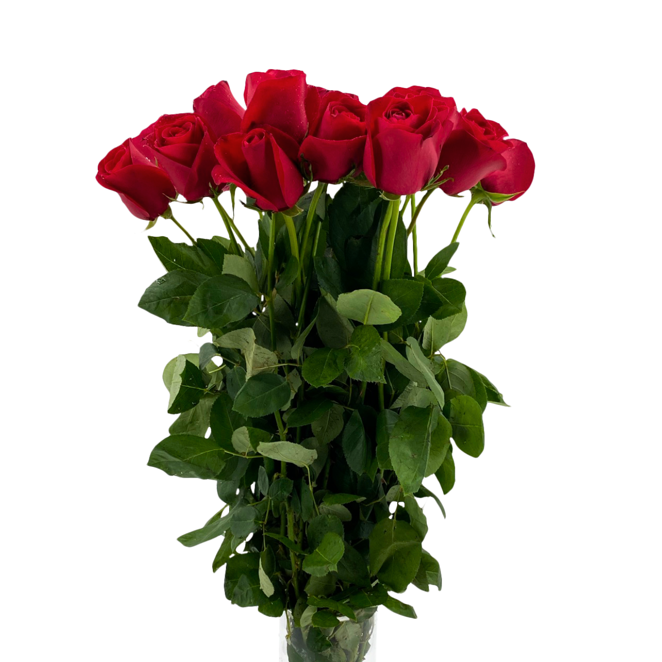 JM Flower Rose (Premium Grade) - Red