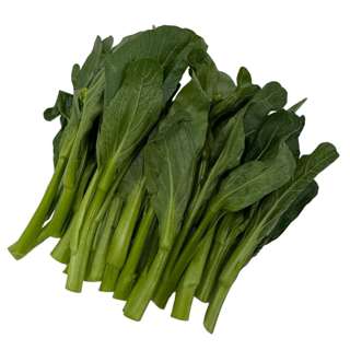 Yuan Zhen Yuan Baby Chye Sim