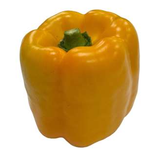 Yuan Zhen Yuan Yellow Capsicum