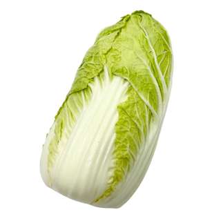 Yuan Zhen Yuan Cabbage Wongbok China