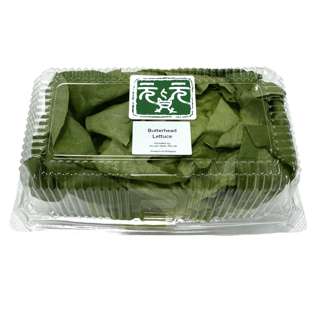 Yuan Zhen Yuan Butterhead Lettuce
