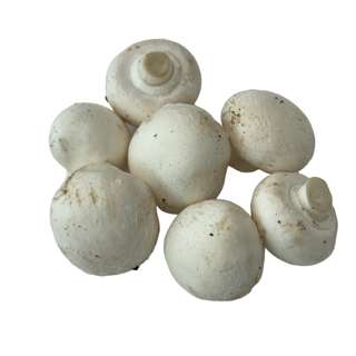 Yuan Zhen Yuan Mushroom White Button