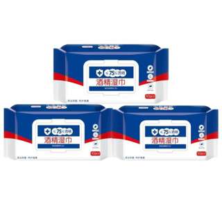 Puritywhite Disinfectant Wipes 75% Alcohol