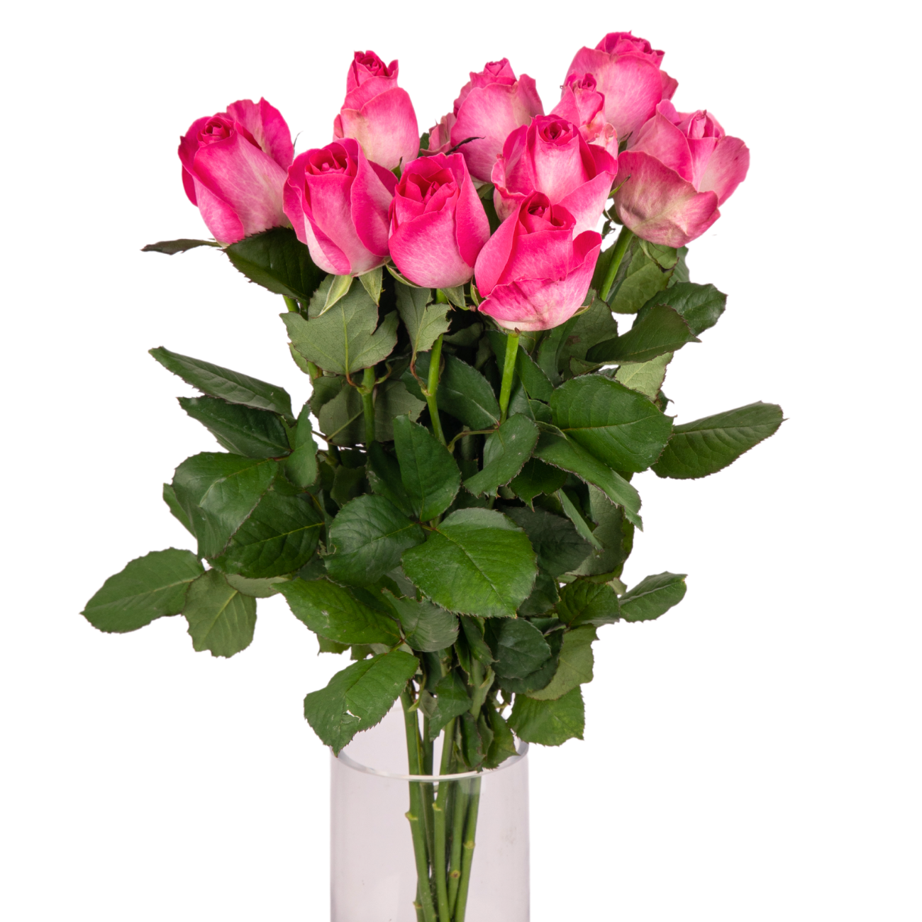 JM Flower Rose (Standard Grade) - Dark pink