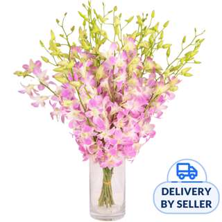 JM Flower Orchid Dendrobium - Light Pink