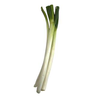 Yuan Zhen Yuan Leek Japan