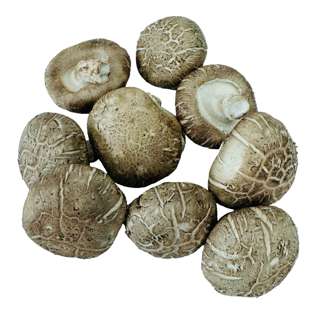 Yuan Zhen Yuan Shiitake Mushroom