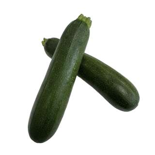 Yuan Zhen Yuan Zucchini Green