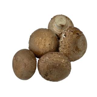 Yuan Zhen Yuan Mushroom Portobello