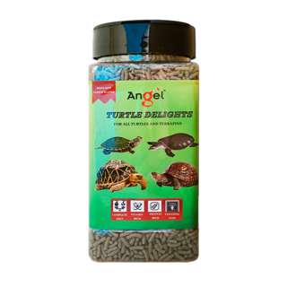 Angel Turtle Delights