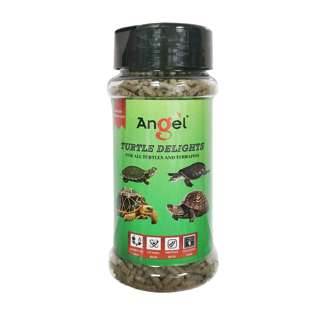 Angel Turtle Delights Angel Turtle Delights
