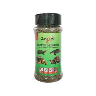 Angel Turtle Delights