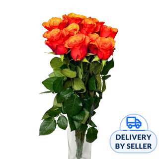 JM Flower Rose (Standard Grade) - Orange