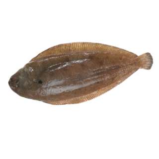 Pan Royal Fresh Sole Fish