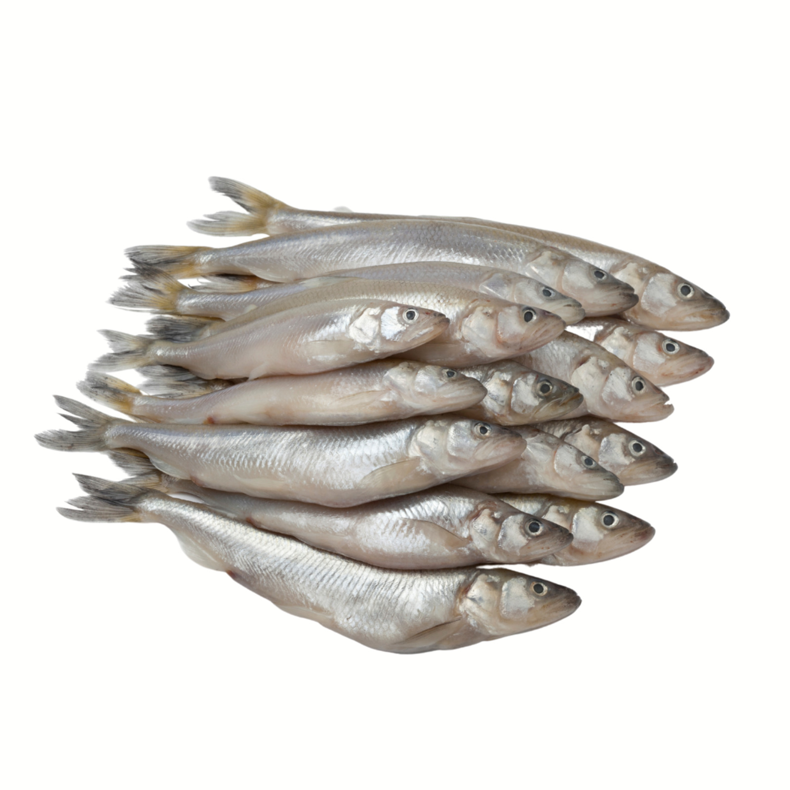 Pan Royal Fresh Smelt Fish