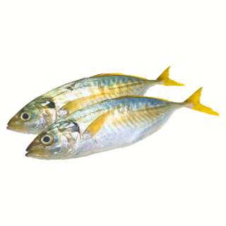 Pan Royal Fresh Selar 2pcs