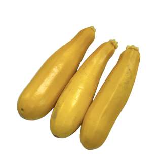 Yuan Zhen Yuan Zucchini Yellow