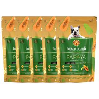 Dogsee Crunch Freeze-Dried Papaya Dog Treats