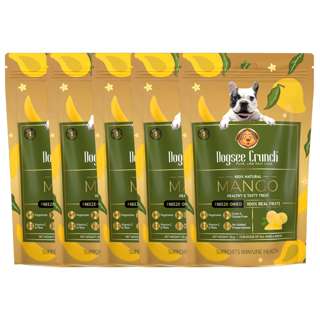 Dogsee Crunch Freeze-Dried Mango Dog Treats