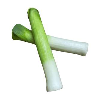 Vegeponics Australia Trimmed Leek
