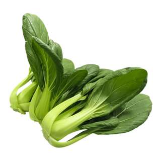 Vegeponics Pesticide-Free Xiao Bai Cai (SG Local)