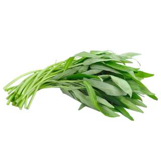Vegeponics Pesticide-Free Kang Kong (SG Local)