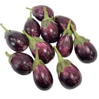 Yuan Zhen Yuan Indian Purple Brinjal