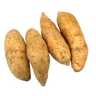 Yuan Zhen Yuan Honey Sweet Potato