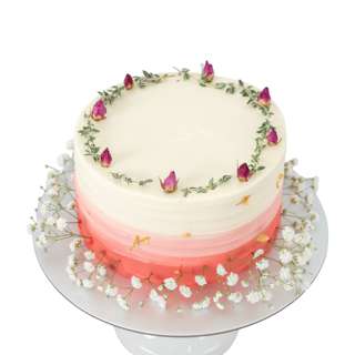 FNP Ombre Pink Baby Breath Cake