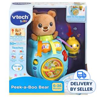 VTech Peek A Boo Bear