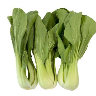 Yuan Zhen Yuan Xiao Bai Cai Yuan Zhen Yuan Xiao Bai Cai