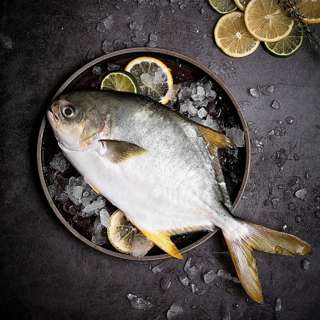 Serve by Hai Sia Golden Pomfret (Scaled & Gutted) - Fresh