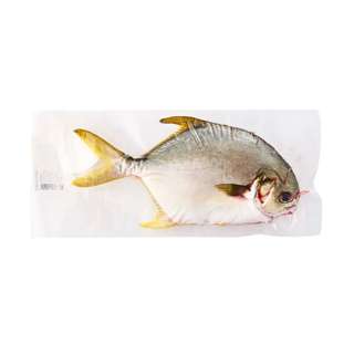 Serve by Hai Sia Golden Pomfret (Scaled & Gutted) - Fresh