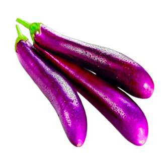 Orgo Fresh  Long Brinjal/Aubergine/Egg Plant 300g