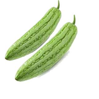 Orgo Fresh Malaysian Kampung Bitter Gourd 2 Pcs